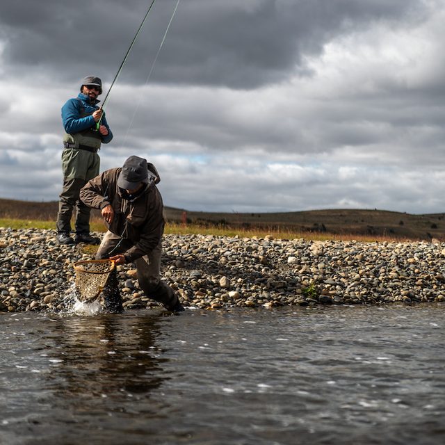 Netting a trout mid-river
