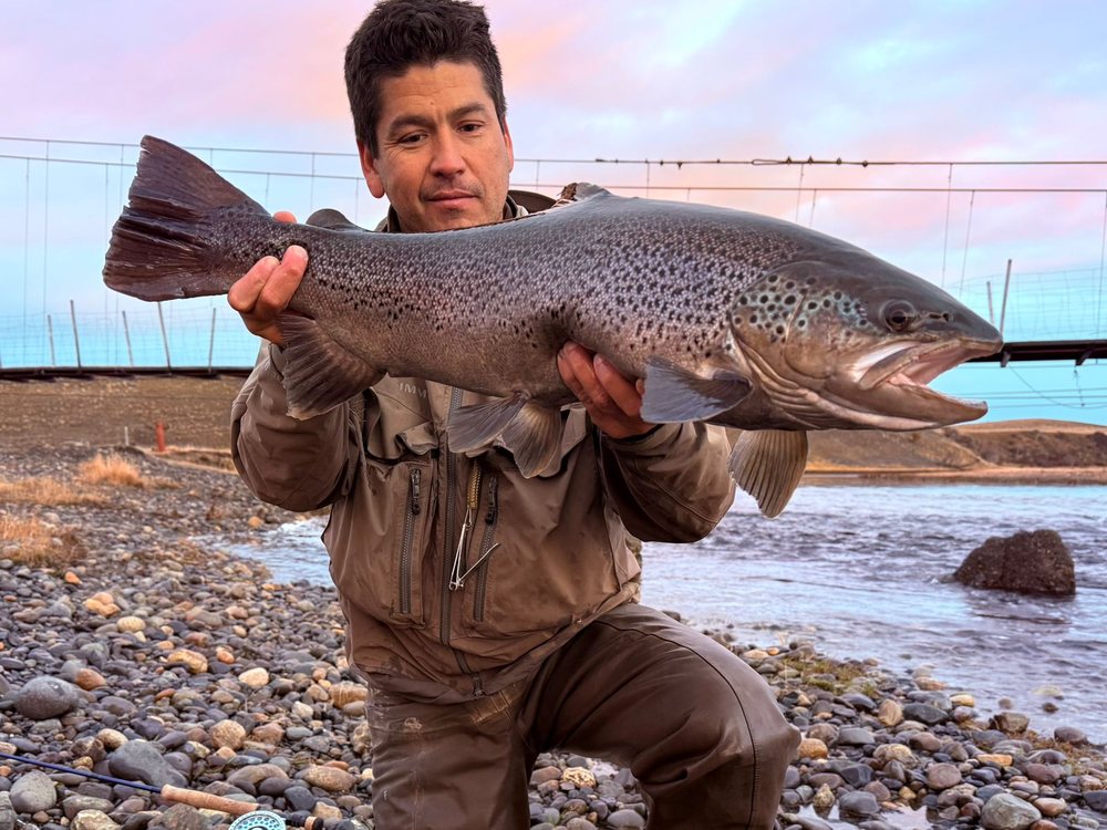 Ben holding a sea-run brown trout at dusk